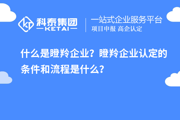 什么是瞪羚企業(yè)？<a href=http://www.6sjj.com/fuwu/dengling.html target=_blank class=infotextkey>瞪羚企業(yè)認(rèn)定</a>的條件和流程是什么？