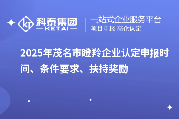 2025年茂名市瞪羚企業(yè)認(rèn)定申報(bào)時(shí)間、條件要求、扶持獎(jiǎng)勵(lì)
