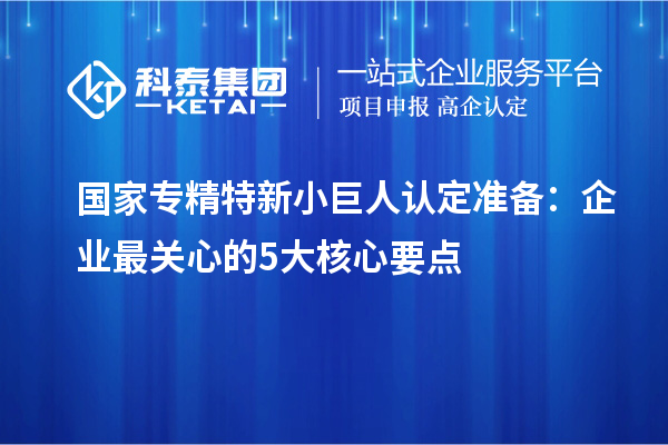 國家專精特新小巨人認(rèn)定準(zhǔn)備：企業(yè)最關(guān)心的5大核心要點